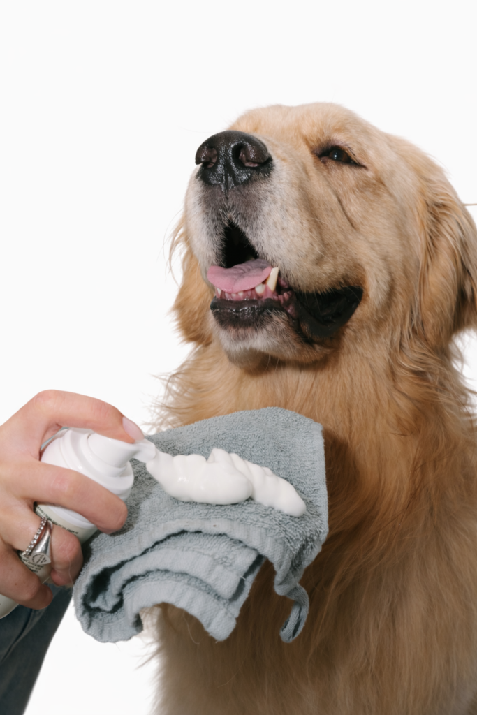 nuvola detergente per pet